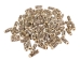 Carved Bone Bead: 1" (100 pcs) - 520-R10-C (Y2DC02)