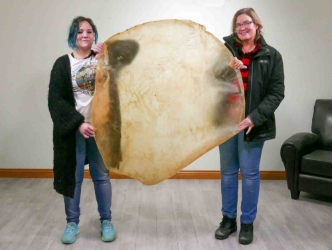 47-49" Cow Rawhide Drum Cover cow rawhide discs, cow rawhide rounds, cow drum covers
