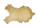 Deer Rawhide: #1 Grade: Bleached - 55-40-1B-AS (Y2J)