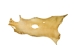 Deer Rawhide: #3 Grade: Bleached - 55-40-3B-AS (Y2JRE)