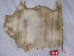Regular Goat Rawhide: Large - 55-50L-AS (Y2JRE)