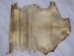 Regular Goat Rawhide: Large - 55-50L-AS (Y2JRE)
