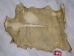 Regular Goat Rawhide: Extra Large - 55-50XL-AS (Y2J)