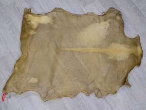 Regular Goat Rawhide: Extra Large 