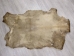 Regular Goat Rawhide: Extra Extra Large - 55-50XXL-AS (Y2JRK)