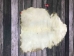 Reindeer Rawhide: Extra Extra Large - 55-80XXL-AS