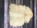 Reindeer Rawhide: Extra Extra Large - 55-80XXL-AS