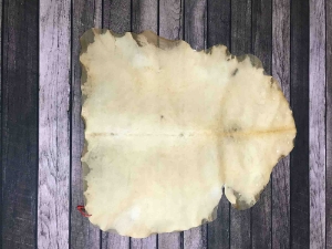 Reindeer Rawhide: Extra Extra Large 