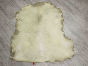 Reindeer Rawhide: Extra Extra Extra Large 