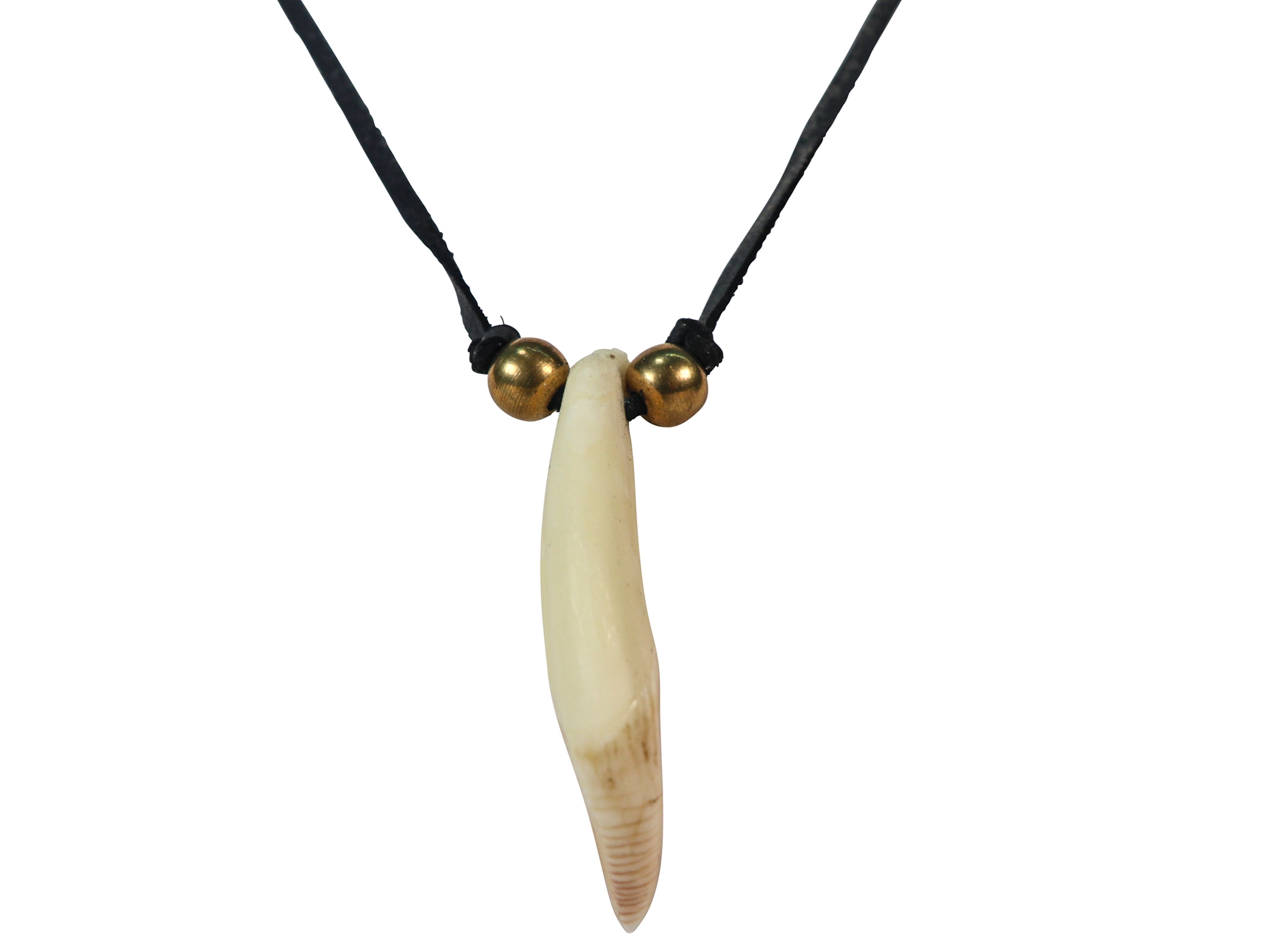 14K Yellow Gold Chain with Gold Tone Animal Tooth Pendant | EBTH