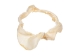 Bull Shark Jaw 8" to 9": Assorted - 561-J16-08-AS (Y3KRF)