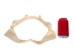 Bull Shark Jaw 11" to 12": Assorted - 561-J16-11-AS (Y1IRL)