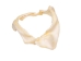 Bull Shark Jaw 11" to 12": Assorted - 561-J16-11-AS (Y1IRL)