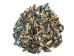 Highly Polished Paua Shell Nuggets: 20-50mm (1 kg or 2.2 lbs) - 565-TNHP-KG (Y3L)