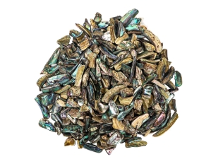 Highly Polished Paua Shell Nuggets: 20-50mm (1 kg or 2.2 lbs) 