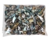 Highly Polished Paua Shell Nuggets: 20-50mm (1 kg or 2.2 lbs) - 565-TNHP-KG (Y3L)