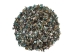 Highly Polished Paua Shell Pieces: Fine 5-15mm (1 kg or 2.2 lbs) - 565-TPHPF-KG (Y3LRE)