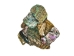 Highly Polished Paua Shell Pieces: Large 40-65mm (1/4 lb) - 565-TPHPL-4 (Y3LRH)