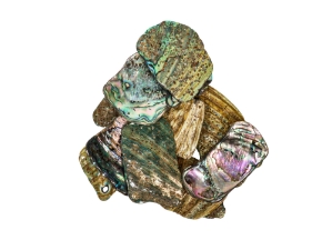 Highly Polished Paua Shell Pieces: Large 40-65mm (1/4 lb) 