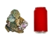 Highly Polished Paua Shell Pieces: Large 40-65mm (1/4 lb) - 565-TPHPL-4 (Y3LRH)