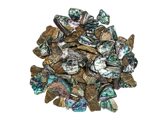 Highly Polished Paua Shell Pieces: Large 40-65mm (1 kg or 2.2 lbs) 