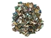 Highly Polished Paua Shell Pieces: Small 15-25mm (1/4 lb) - 565-TPHPS-4 (9UL2)