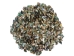 Highly Polished Paua Shell Pieces: Small 15-25mm (1 kg or 2.2 lbs) - 565-TPHPS-KG