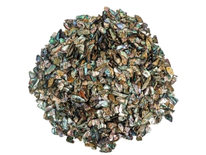 Highly Polished Paua Shell Pieces: Small 15-25mm (1 kg or 2.2 lbs) 