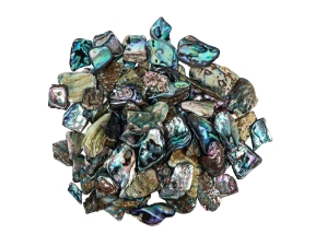 Highly Polished Paua Shell Pieces: Small/Medium 15-45mm (1/4 lb) 
