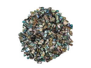 Highly Polished Paua Shell Pieces: Small/Medium 15-45mm (1 kg or 2.2 lbs) 