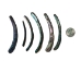 Highly Polished Paua Shell Tusks: ~100mm (1/4 lb) - 565-TTHP-4 (Y3LRH)
