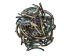Highly Polished Paua Shell Tusks: ~100mm (1 kg or 2.2 lbs) - 565-TTHP-KG