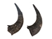 Matching Pair of Large North American Buffalo Horn Caps: #2 Grade - 576-2LM2-AS (Y1G)(Y2J)