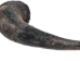 Matching Pair of Large North American Buffalo Horn Caps: #2 Grade - 576-2LM2-AS (Y3KRU)