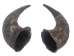 Matching Pair of Large North American Buffalo Horn Caps: #2 Grade - 576-2LM2-AS (Y3KRU)