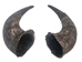Matching Pair of Large North American Buffalo Horn Caps: #2 Grade - 576-2LM2-AS (Y1G)(Y2J)