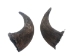 Matching Pair of Large North American Buffalo Horn Caps: #3 Grade - 576-2LM3-AS (Y3KRB)
