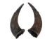 Matching Pair of Large North American Buffalo Horn Caps: #3 Grade - 576-2LM3-AS (Y3KRB)
