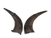 Matching Pair of Large North American Buffalo Horn Caps: #3 Grade - 576-2LM3-AS (Y3KRB)