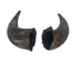 Matching Pair of Large North American Buffalo Horn Caps: #3 Grade - 576-2LM3-AS (Y3K)