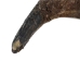 Matching Pair of North American Buffalo Horn Caps: #3 Grade - 576-2M3-AS (Y3K)