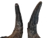Matching Pair of North American Buffalo Horn Caps: #3 Grade - 576-2M3-AS (Y3K)