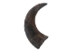 Female North American Buffalo Horn Cap: #1 Grade - 576-F1-AS (Y2PC05)