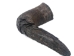 Female North American Buffalo Horn Cap: #2 Grade - 576-F2-AS (Y2PXX)
