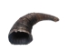 Female North American Buffalo Horn Cap: #3 Grade - 576-F3-AS (Y2PXX)