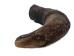 Female North American Buffalo Horn Cap: #3 Grade - 576-F3-AS (Y2PXX)