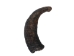 Female North American Buffalo Horn Cap: #3 Grade - 576-F3-AS (Y2PXX)