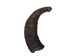 Female North American Buffalo Horn Cap: #3 Grade - 576-F3-AS (Y2P)
