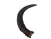 Large Female North American Buffalo Horn Cap: #3 Grade - 576-LF3-AS (Y2PRK)