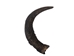 Large Female North American Buffalo Horn Cap: #3 Grade - 576-LF3-AS (9UK1)